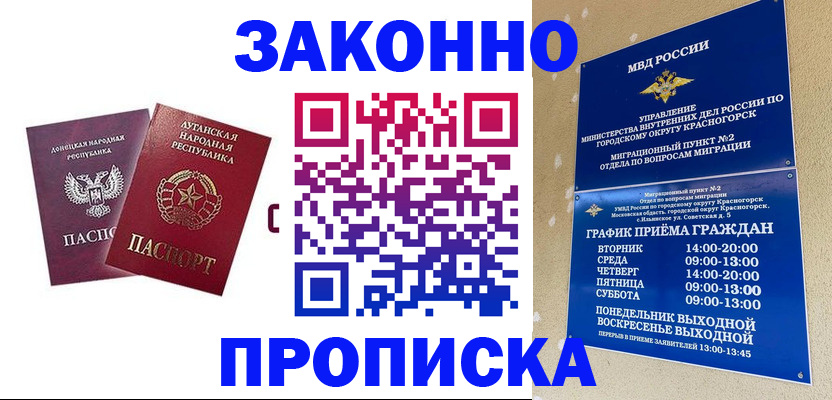 прописка в Ельне